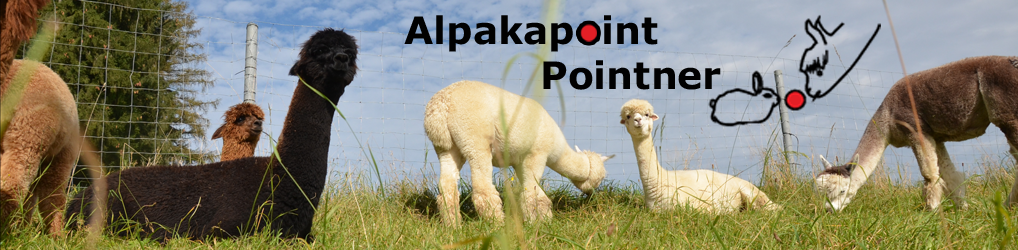Alpakapoint Pointner